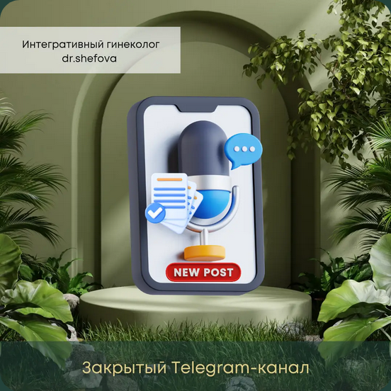 Изображение [Юлия Шефова] Клуб Женское Здоровье. Тариф Только канал. Июнь (2025)
