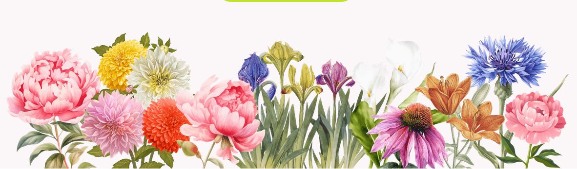 Изображение [Людмила Гиевая] Многолетники: создание малоуходных цветников (2025) [Тариф Самостоятельный]