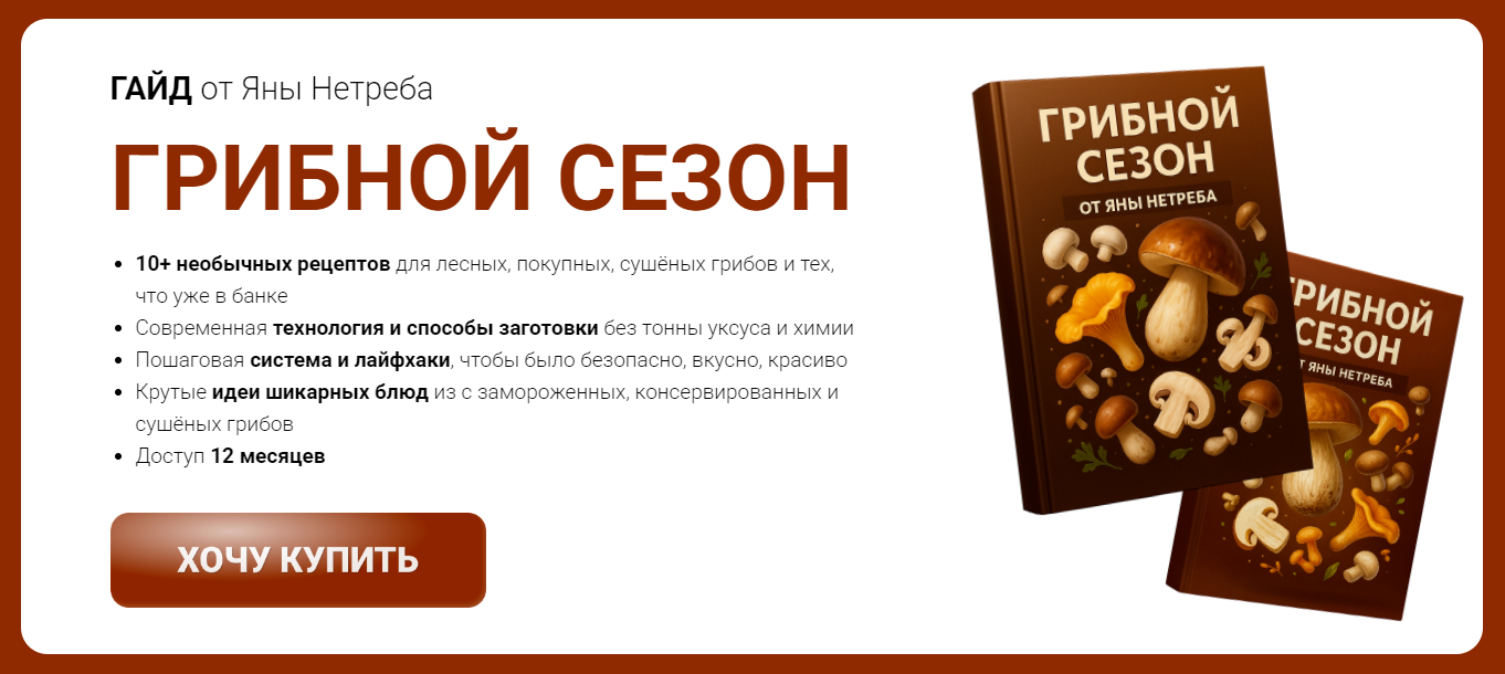 Изображение [Labfood] Яна Нетреба ― Гайд «Грибной сезон» (2025)